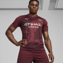 Jersey PUMA Alternativo para Hombre Manchester City 24/25 en Talle Mediana Dark Jasper