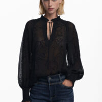 Flocked sheer blouse